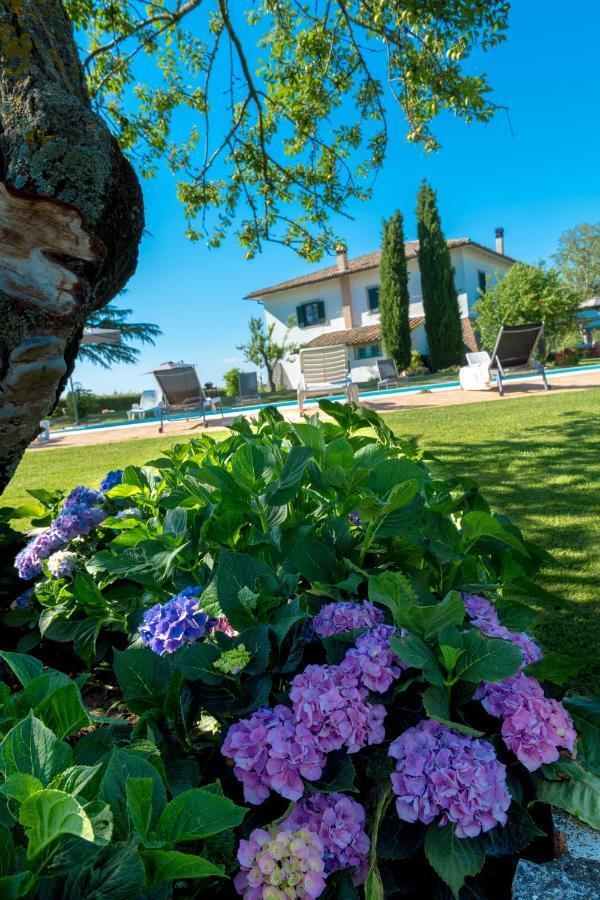Villa Il Raggio Di Sole Bagnoregio Exterior foto
