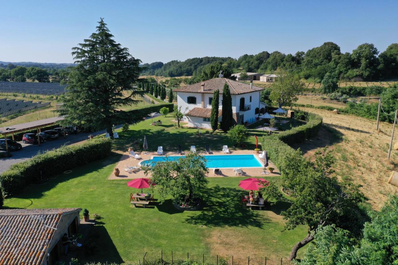 Villa Il Raggio Di Sole Bagnoregio Exterior foto