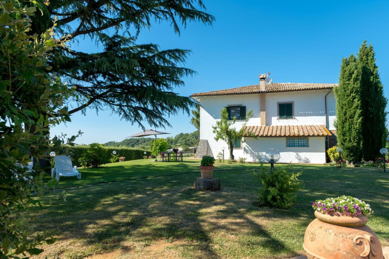 Villa Il Raggio Di Sole Bagnoregio Exterior foto