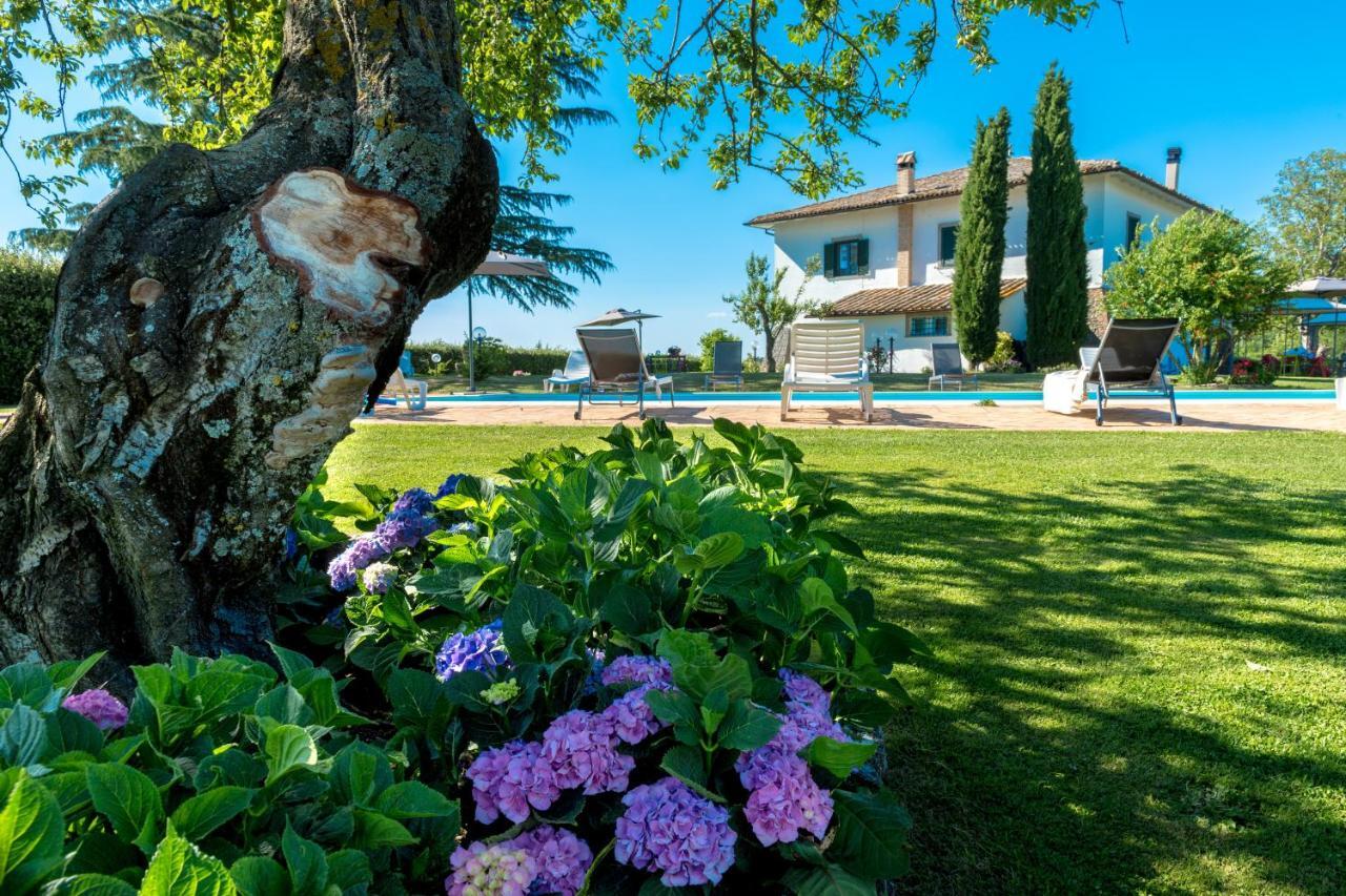 Villa Il Raggio Di Sole Bagnoregio Exterior foto